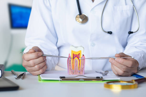 Best Same-Day Emergency Dentist in Rosendale, WI